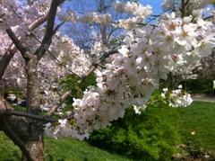 the top 10 news stories on fairfax city patch in april